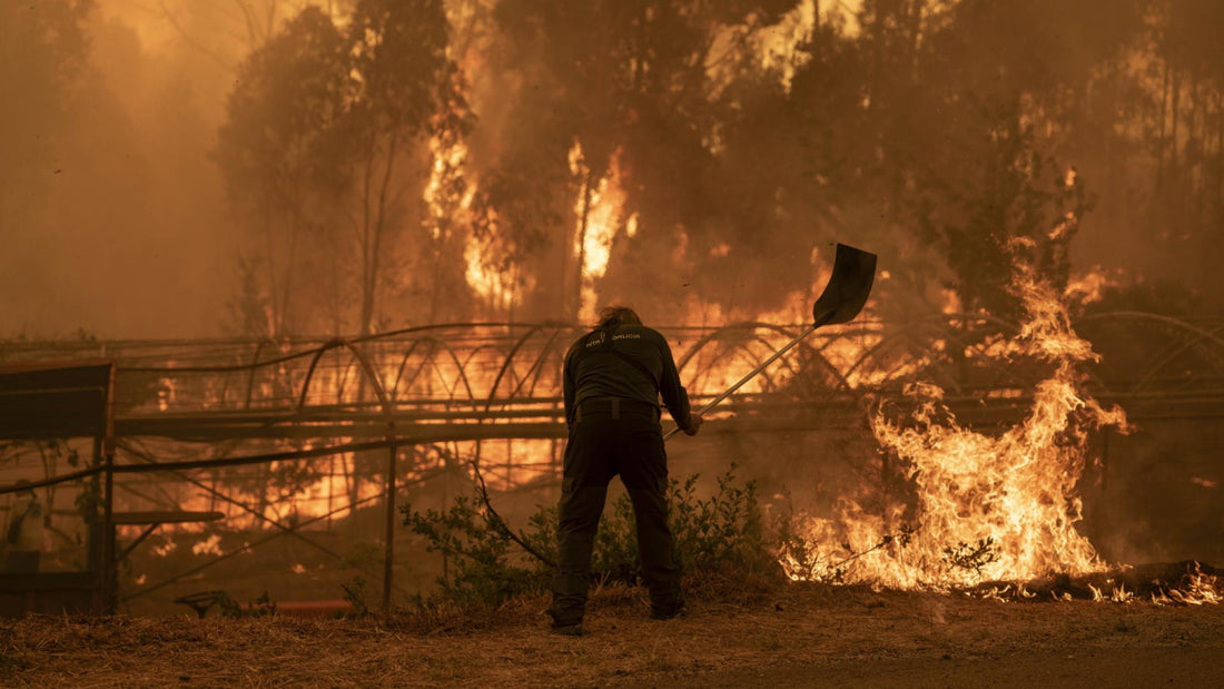 Incendies en Andalousie : les bons réflexes face aux feux de forêt