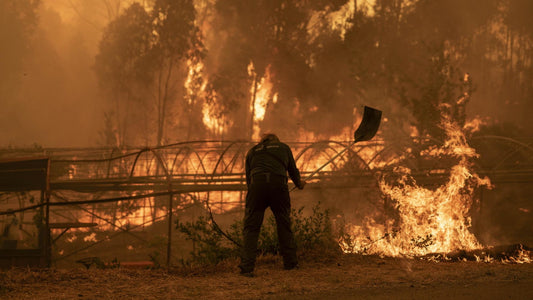 Incendies en Andalousie : les bons réflexes face aux feux de forêt