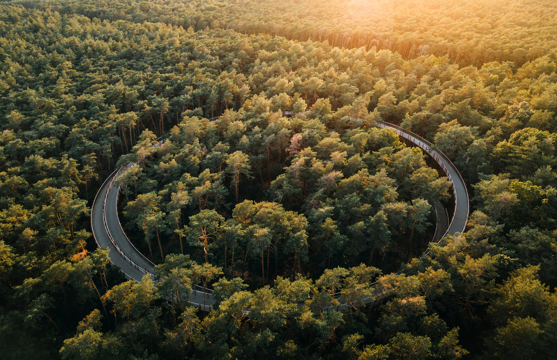 Quel parc national belge choisir au printemps ? Nos 6 idées de sortie nature