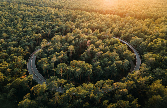 Quel parc national belge choisir au printemps ? Nos 6 idées de sortie nature