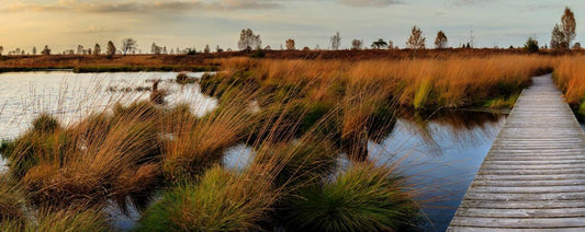 Week-end outdoor de décembre : 5 micro-aventures à faire avant Noël
