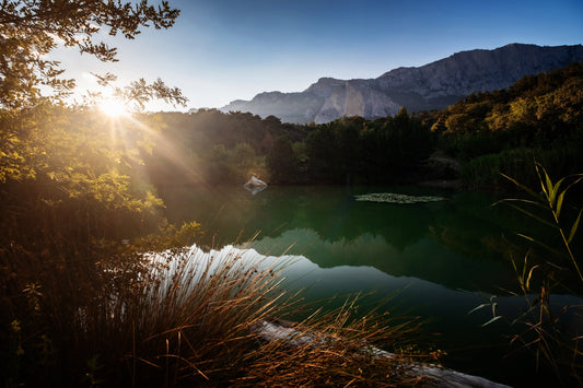Eau en bivouac : filtrer et purifier en zone humide