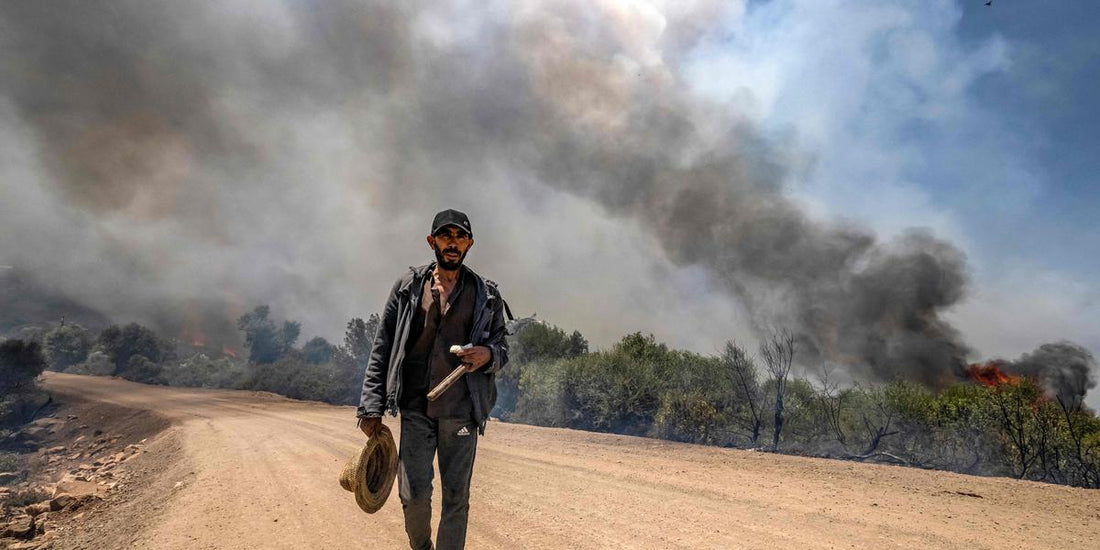 Incendies estivaux : conseils bushcraft face aux flammes