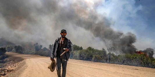 Incendies estivaux : conseils bushcraft face aux flammes