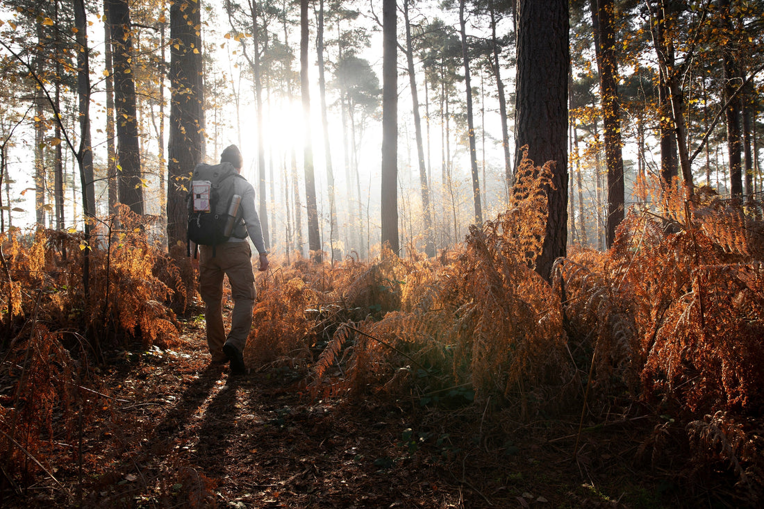 Bushcraft d'automne : s'adapter aux premiers froids