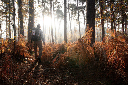 Bushcraft d'automne : s'adapter aux premiers froids