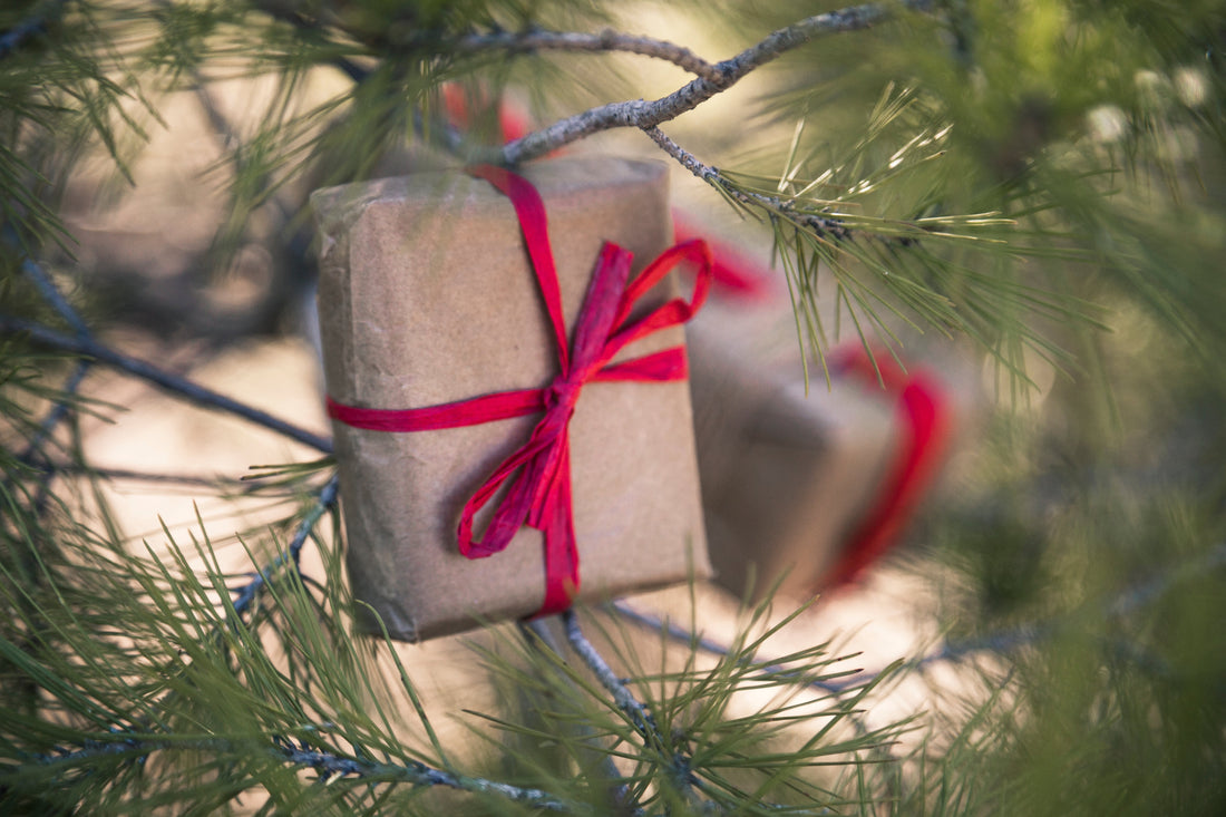 Les 10 cadeaux bushcraft et survie qui feront vraiment plaisir à Noël